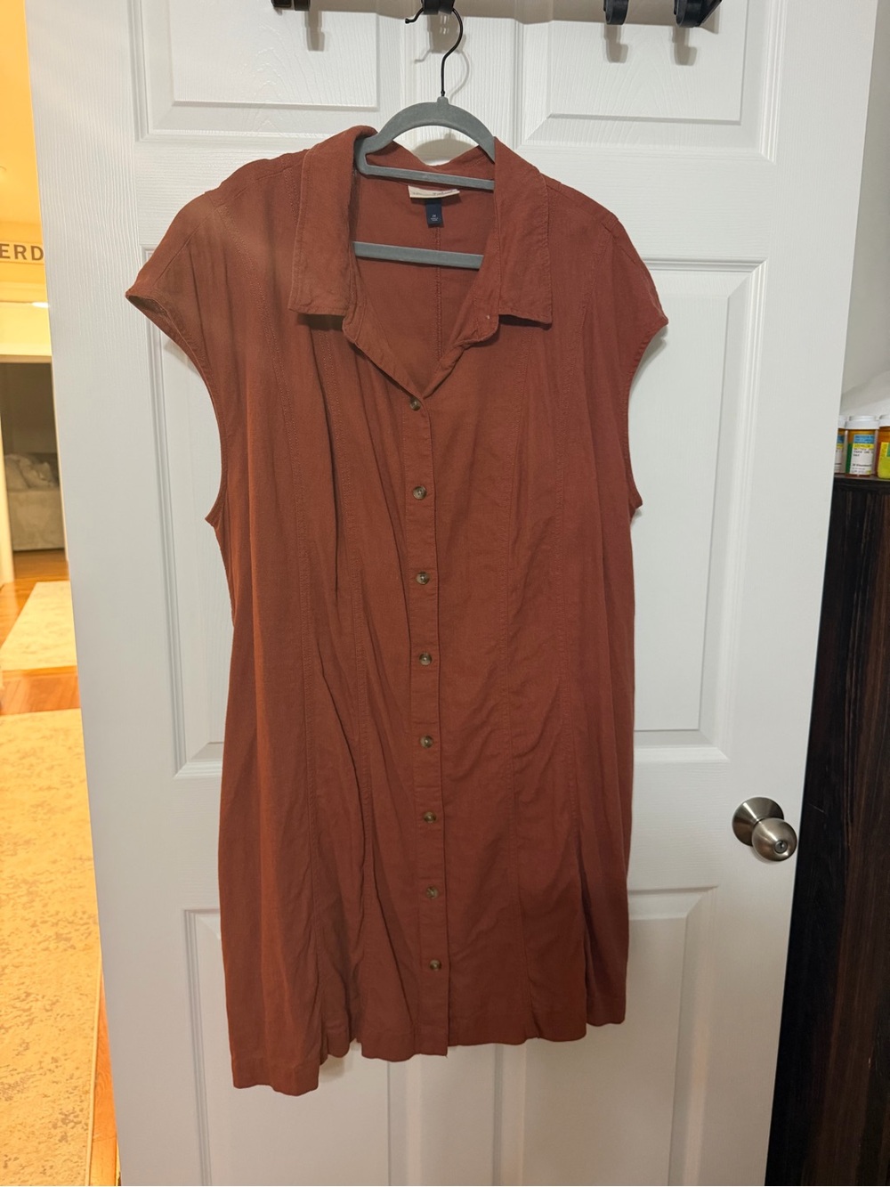 short sleeve mini shirt dress rust Universal Thread womens 2x